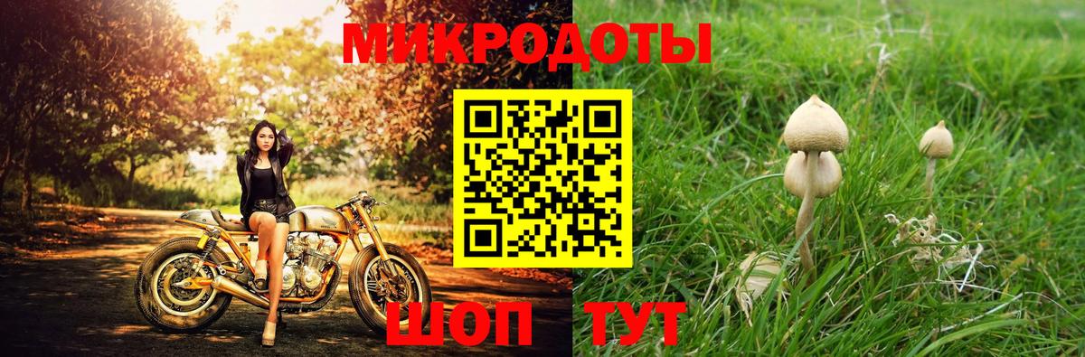 Астрахань  Псилоцибиновые грибы прущие грибы  Псилоцибиновые грибы Magic Shrooms  Вход с VPN 